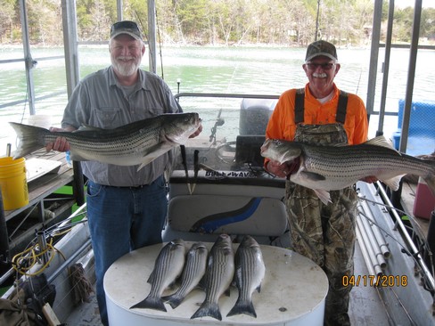 Nice Striped Bass